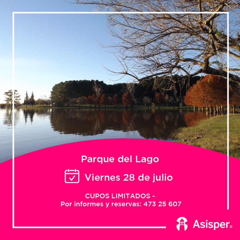 Feed_Asisper_Jul_Post paseo_5